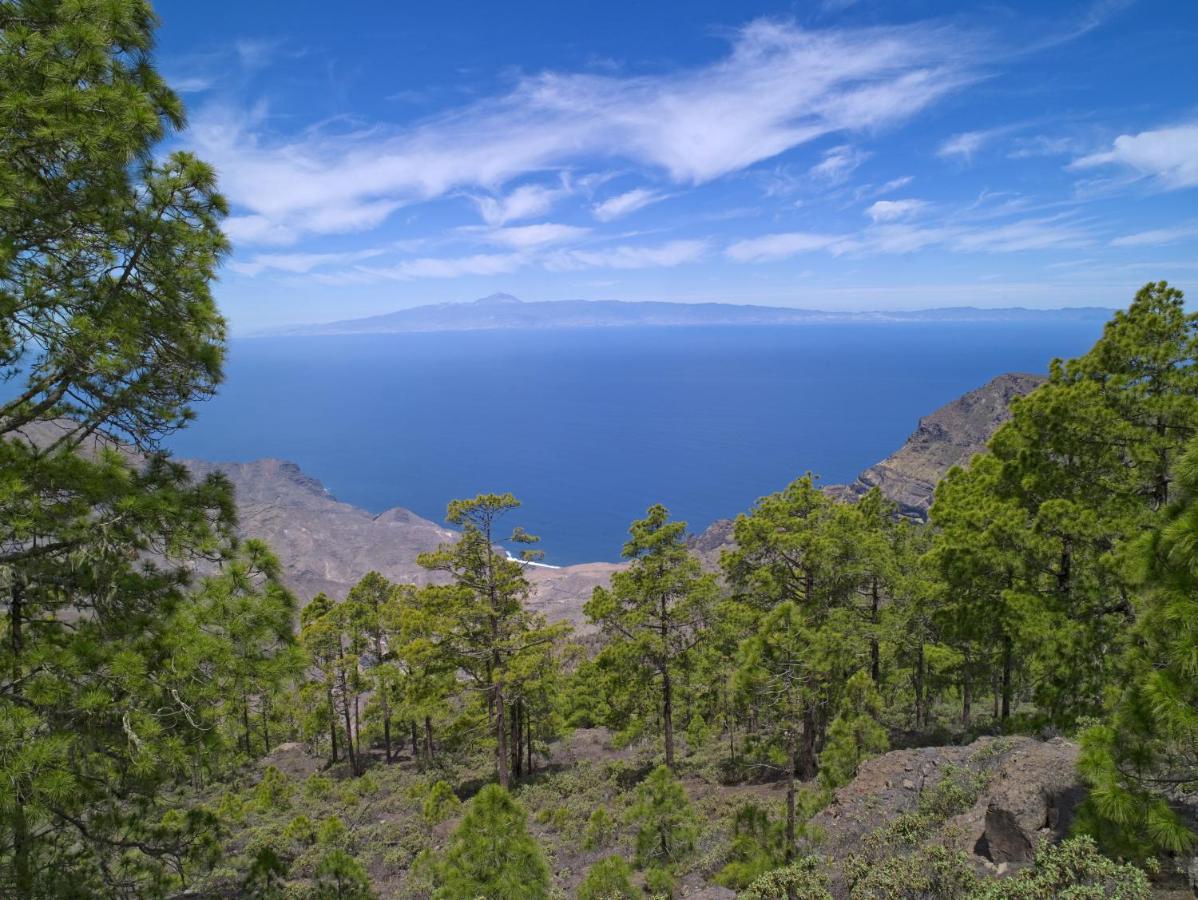Adelfas South 2 By Canariasgetaway * San Bartolomé