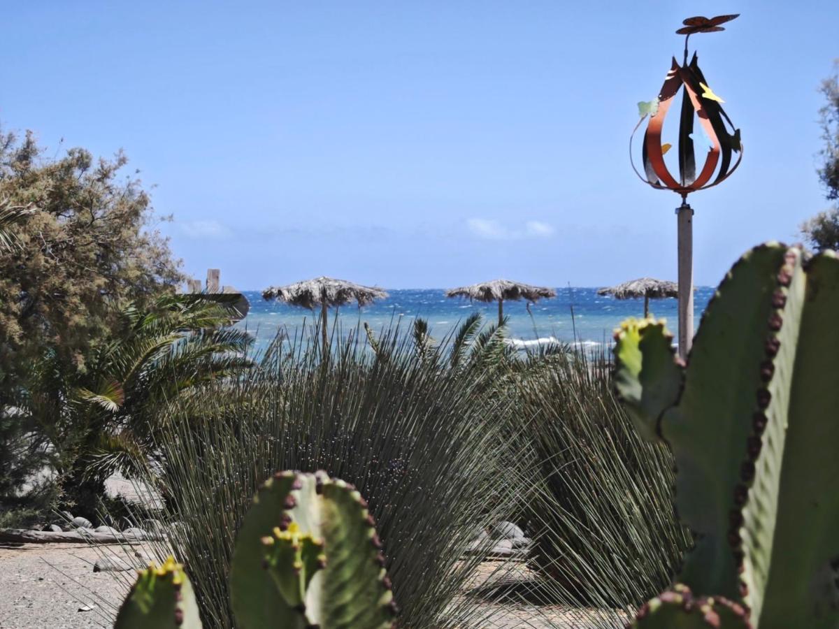 La Paloma