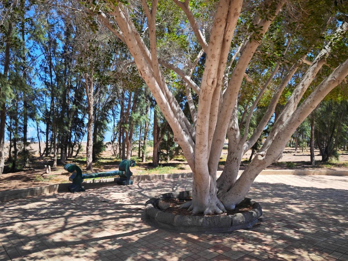 La Paloma
