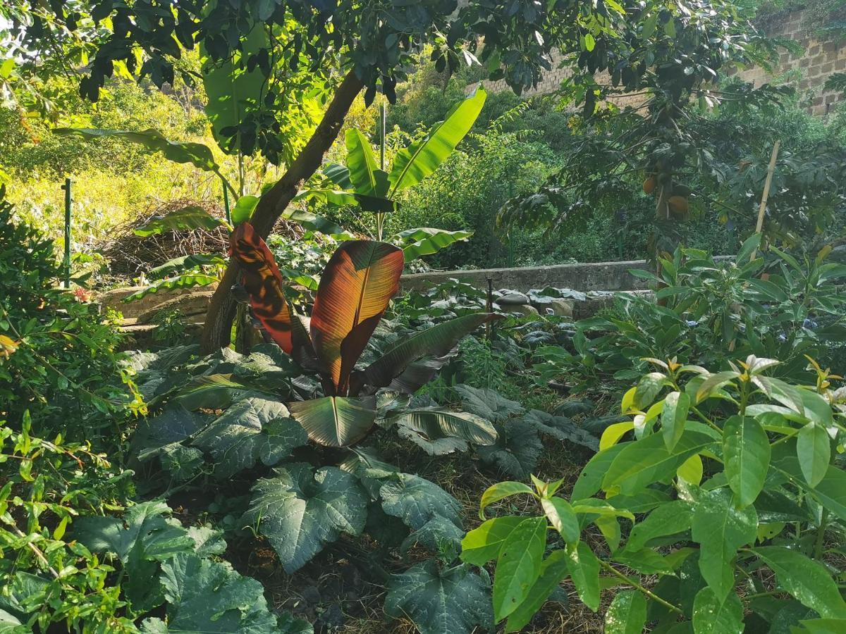 Eco In Paradise Valley Azuaje