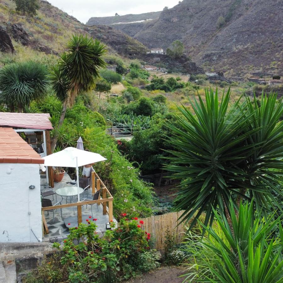 Eco In Paradise Valley Azuaje