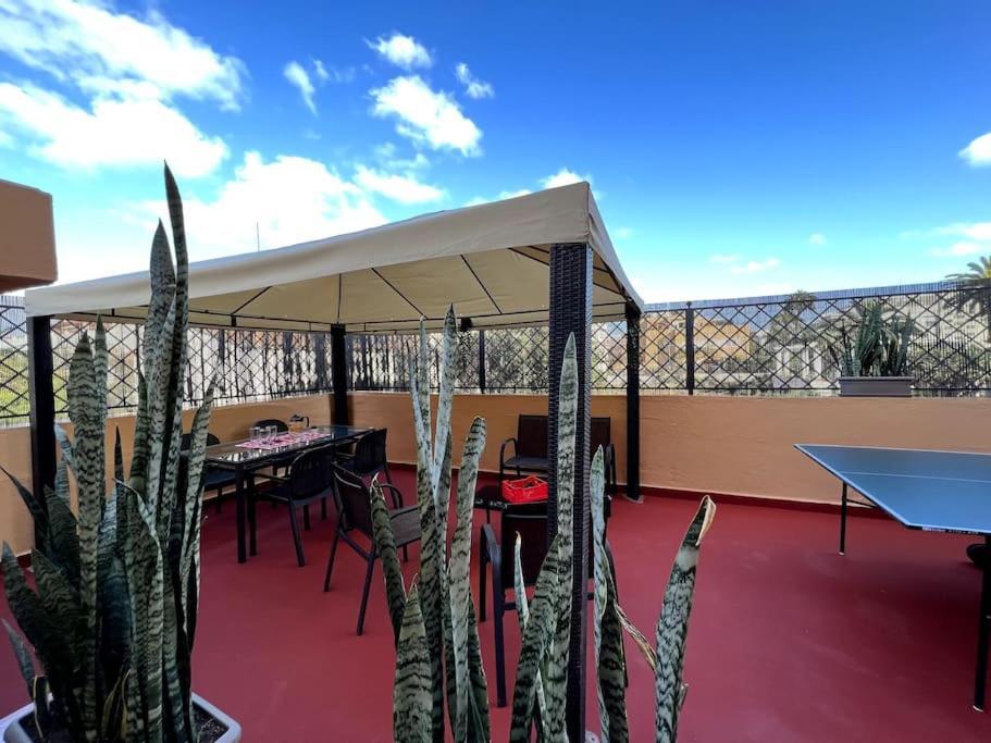 Colonial In Palmas Villa