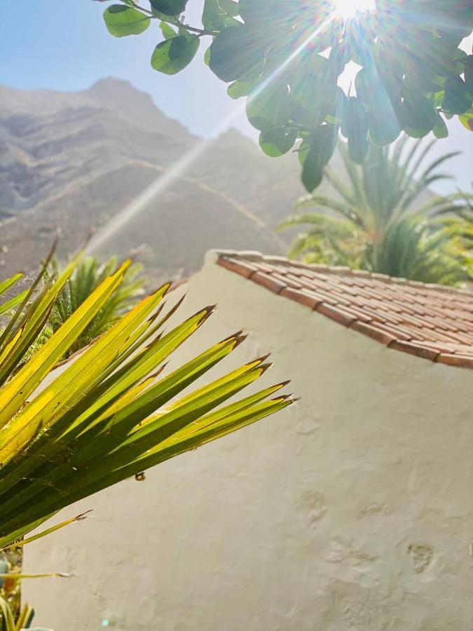 Finca Origen - Casa Trinidad - Rural- Unique San Pedro (Gran Canaria)