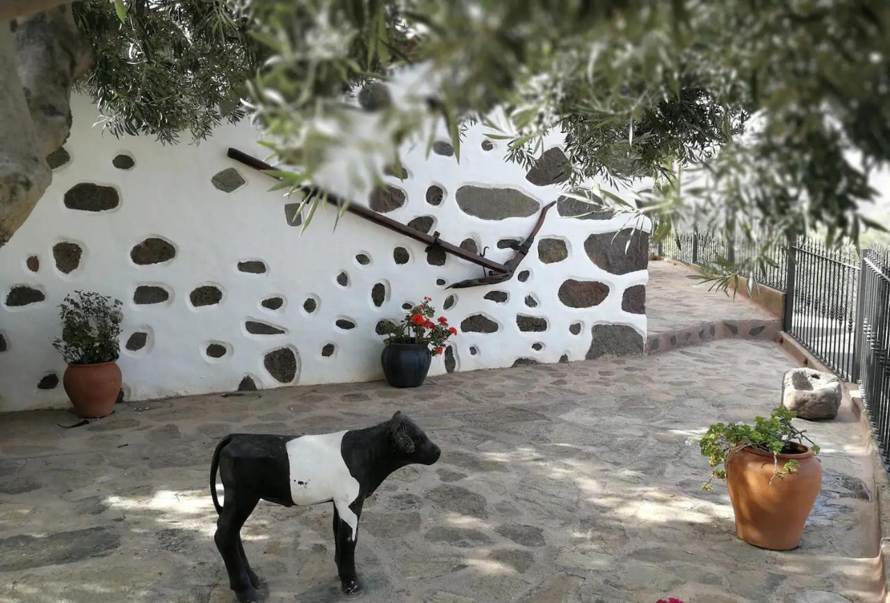 Holiday home La Casa Vieja De La Montana