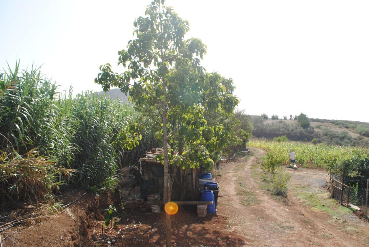 El Lomo Holiday home