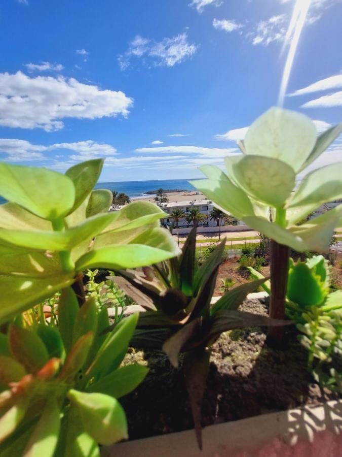 Views Horizonte *
