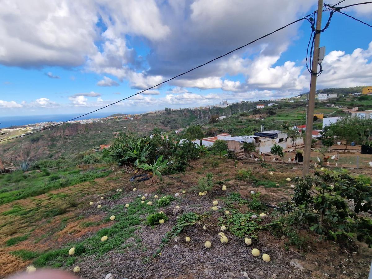 Holiday home The Musician's House Santa Maria de Guia de Gran Canaria