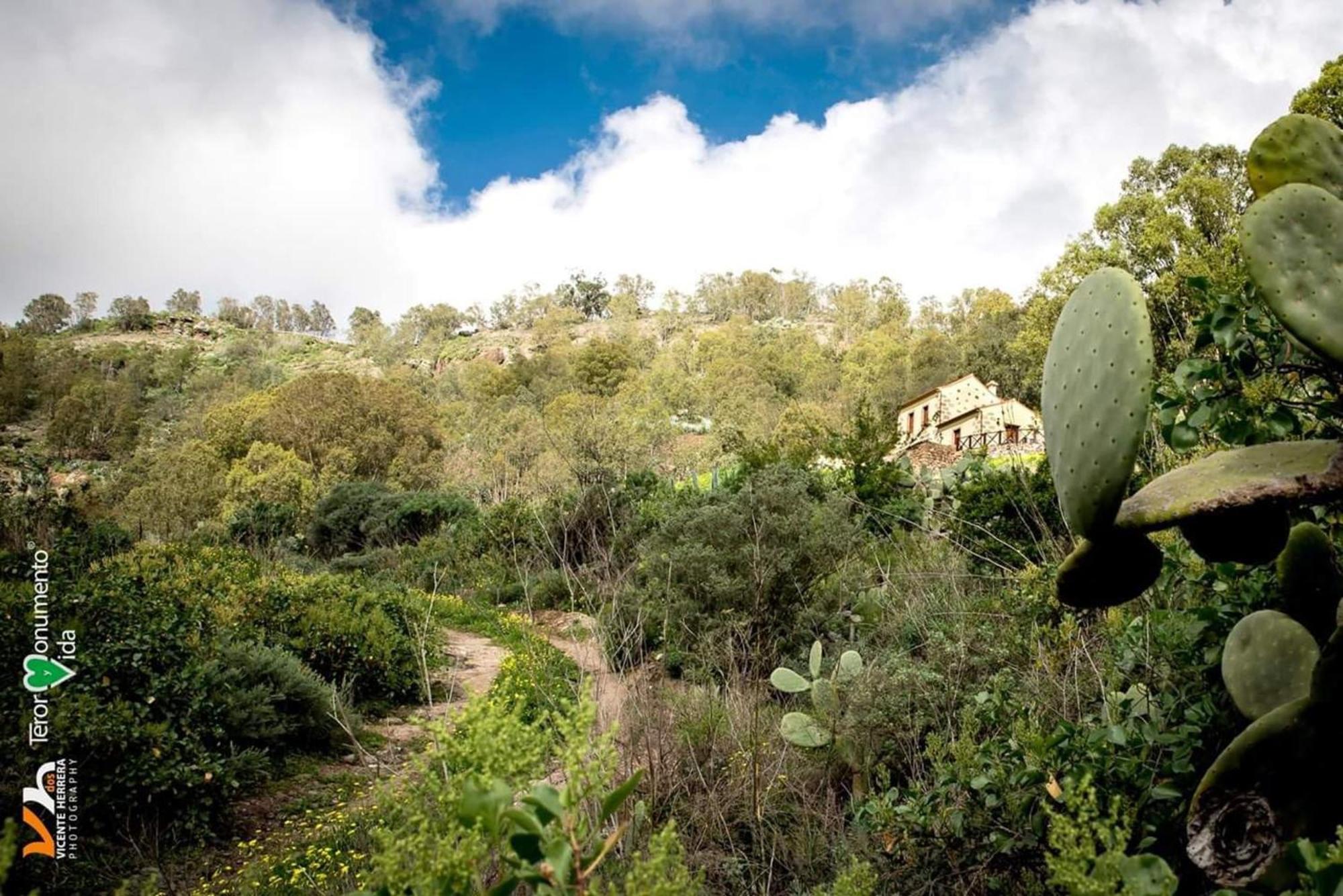 Сasa de vacaciones Charming House In La Pena With Terrace And Air Conditioning Las Palmas de Gran Canaria
