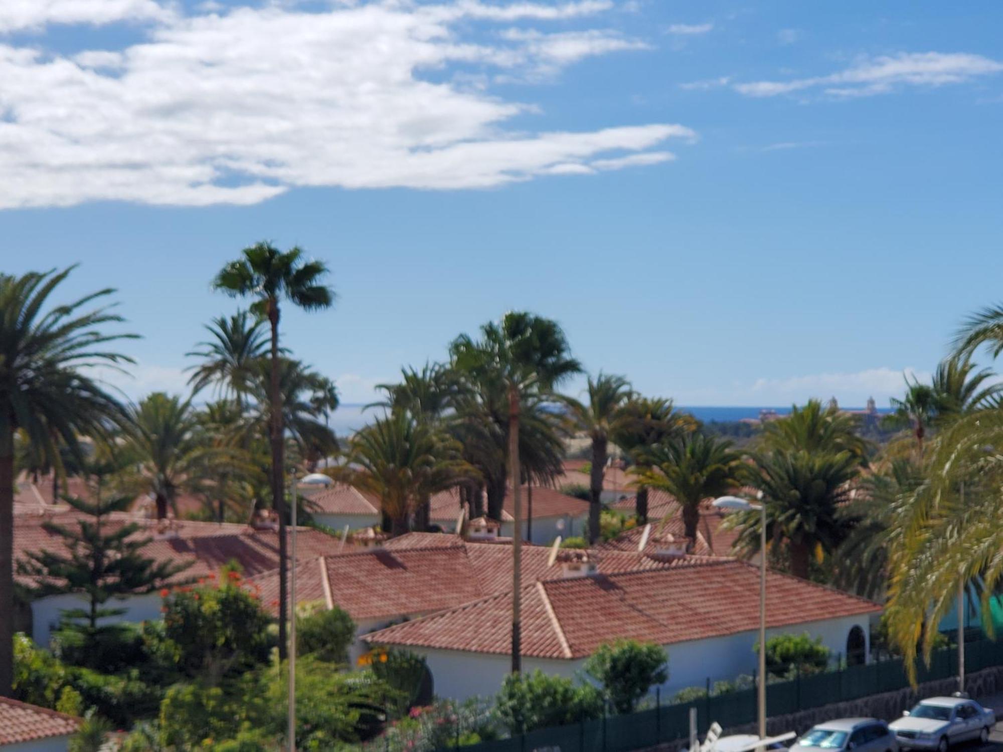 Vivienda Vacacional-las Camelias #e05 *