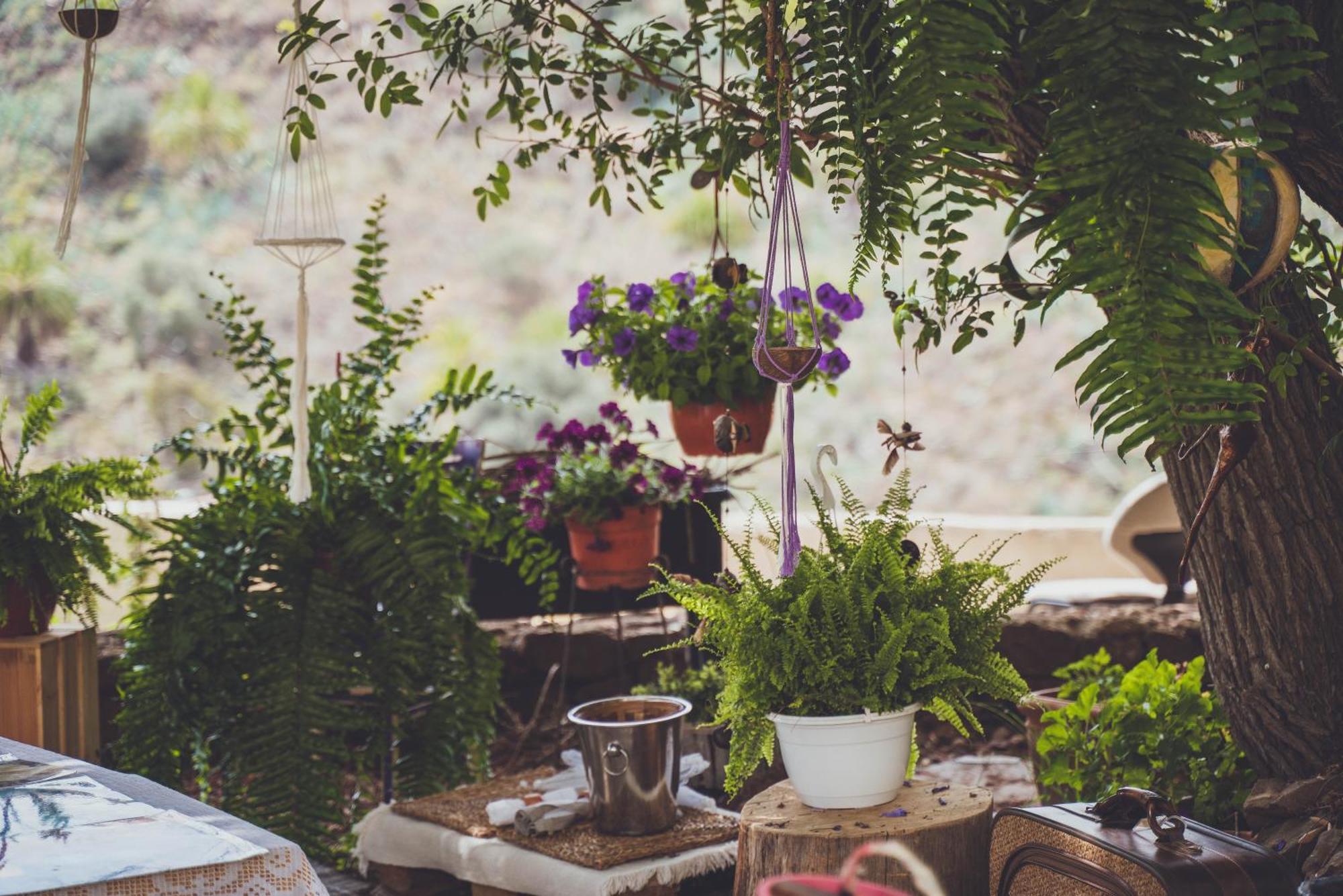 Estudio Wabi-sabi Alloggio in famiglia *