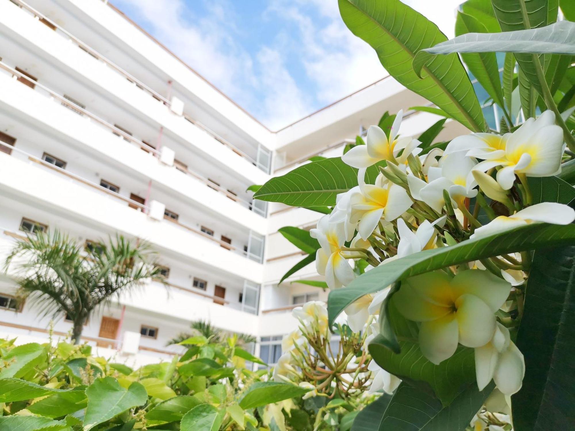 Camelias 215 Maspalomas (Gran Canaria)