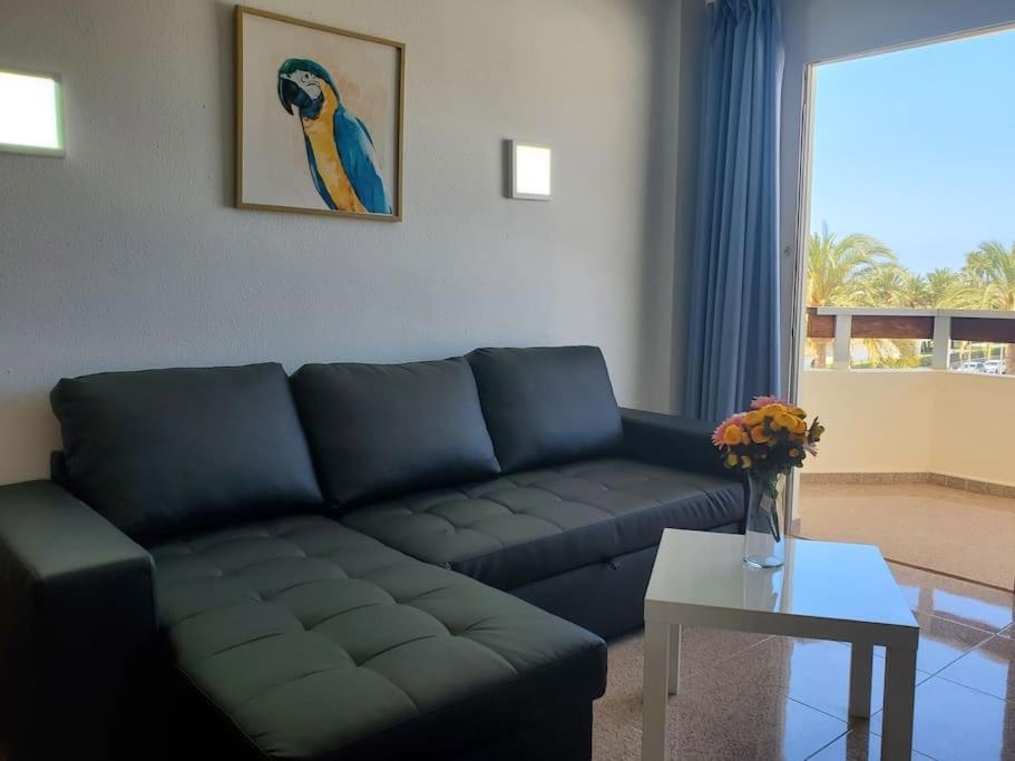 Appartamento Camelias Q17 Maspalomas (Gran Canaria)