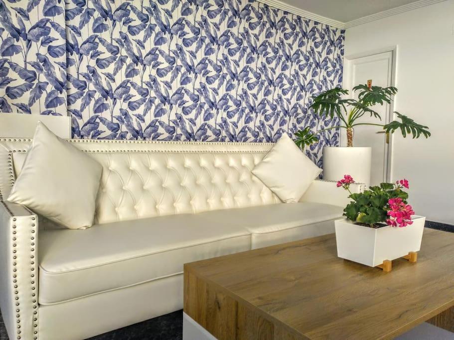 Camelias Q17 Apartamento Maspalomas (Gran Canaria)