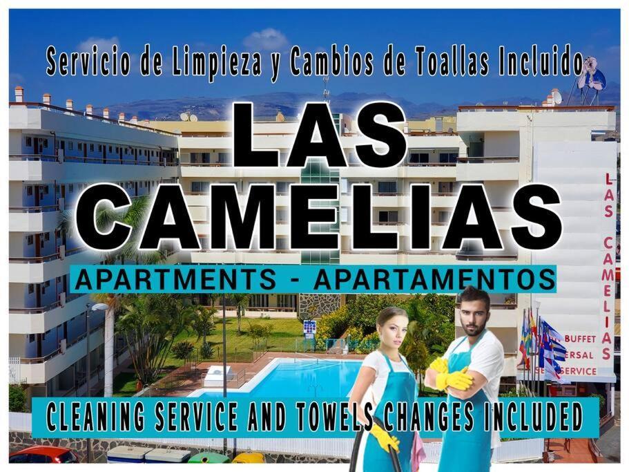 Camelias Q17 Maspalomas (Gran Canaria)