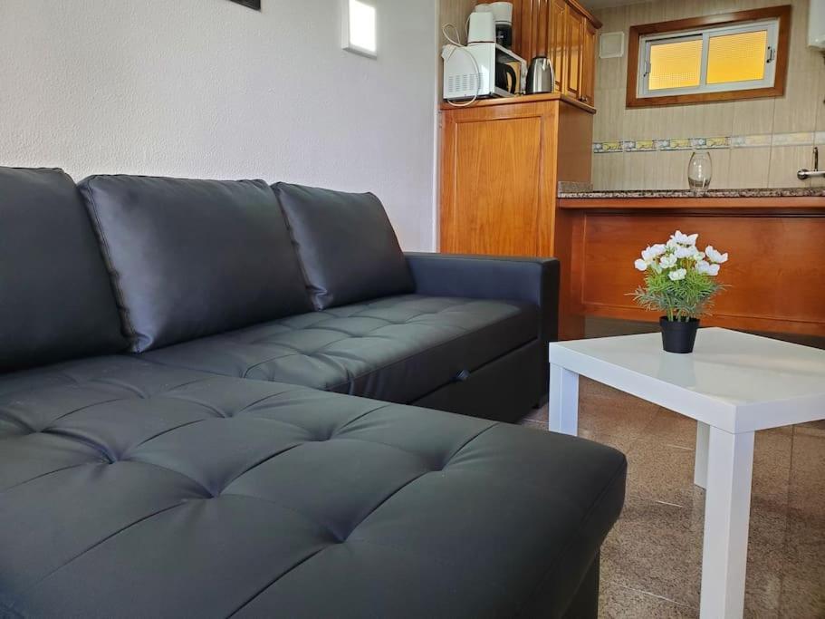 Apartamento Camelias Ci04