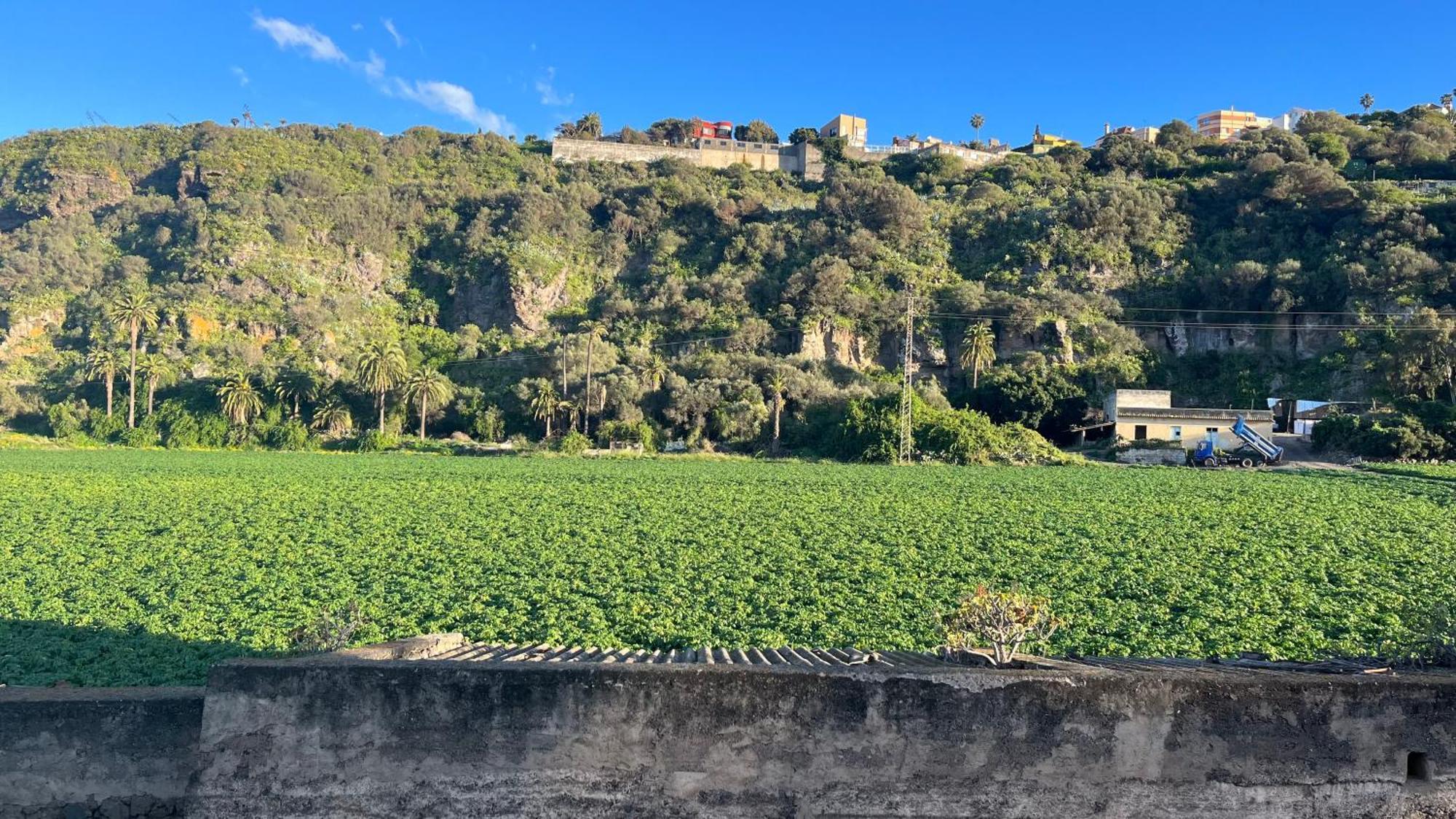 La Calzada View