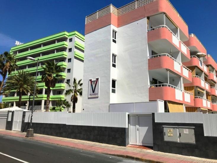Valparaiso Flamingo * San Bartolome de Tirajana (Gran Canaria)
