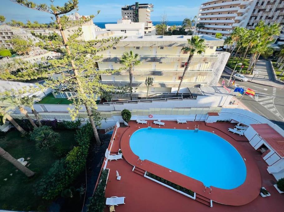 Valparaiso Flamingo * San Bartolome de Tirajana (Gran Canaria)