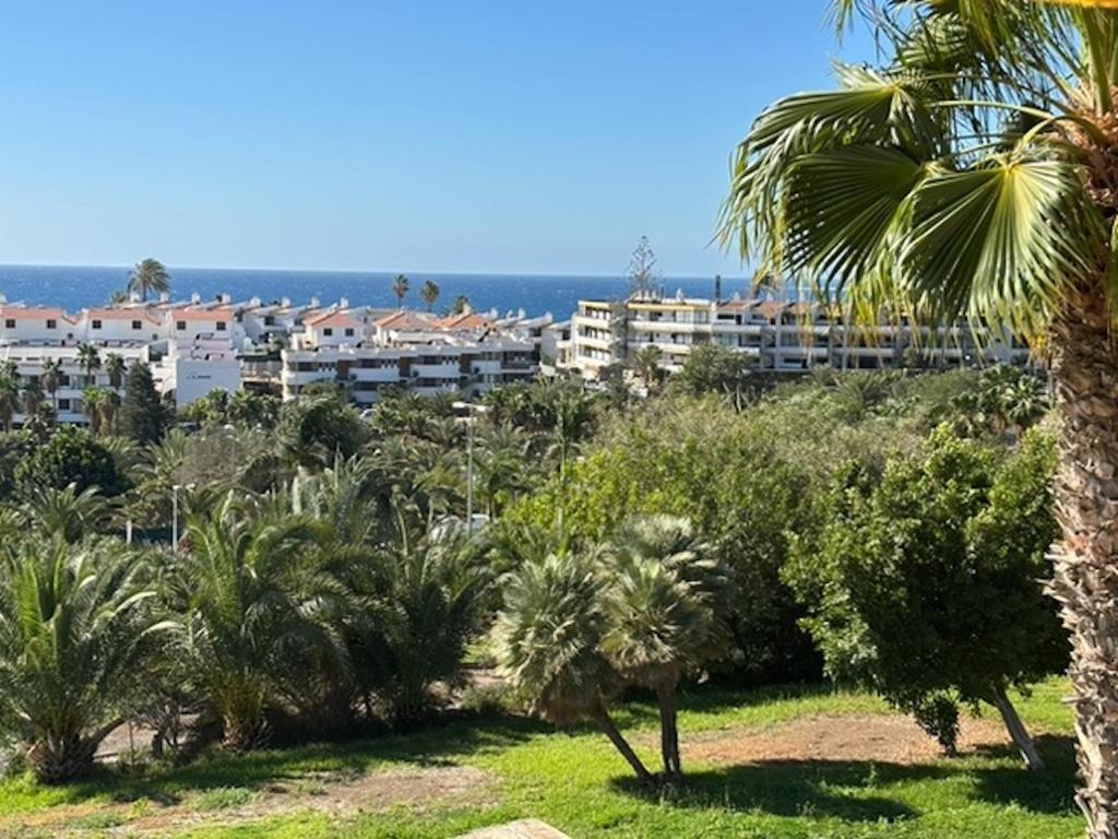 Vista Roja San Agustín