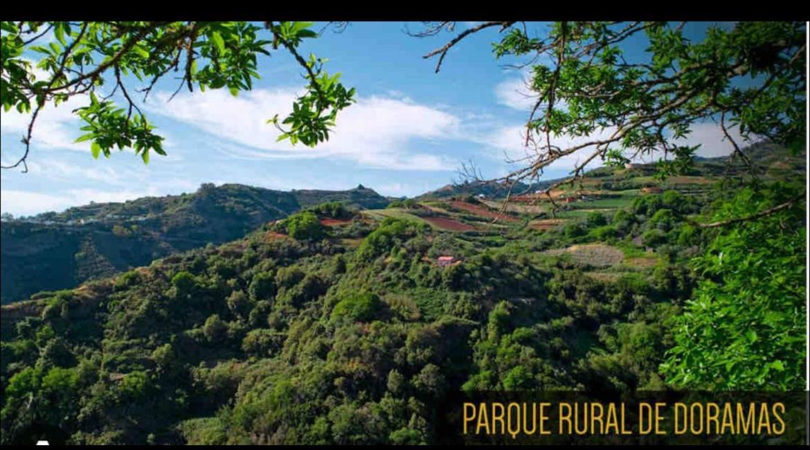 Apartamento Casa Rural Los Tilos Betancor Moya (Gran Canaria)