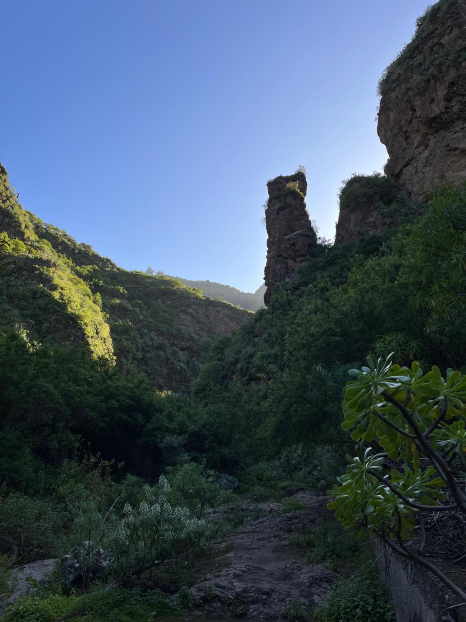 Casa Rural Los Tilos Betancor * Moya (Gran Canaria)