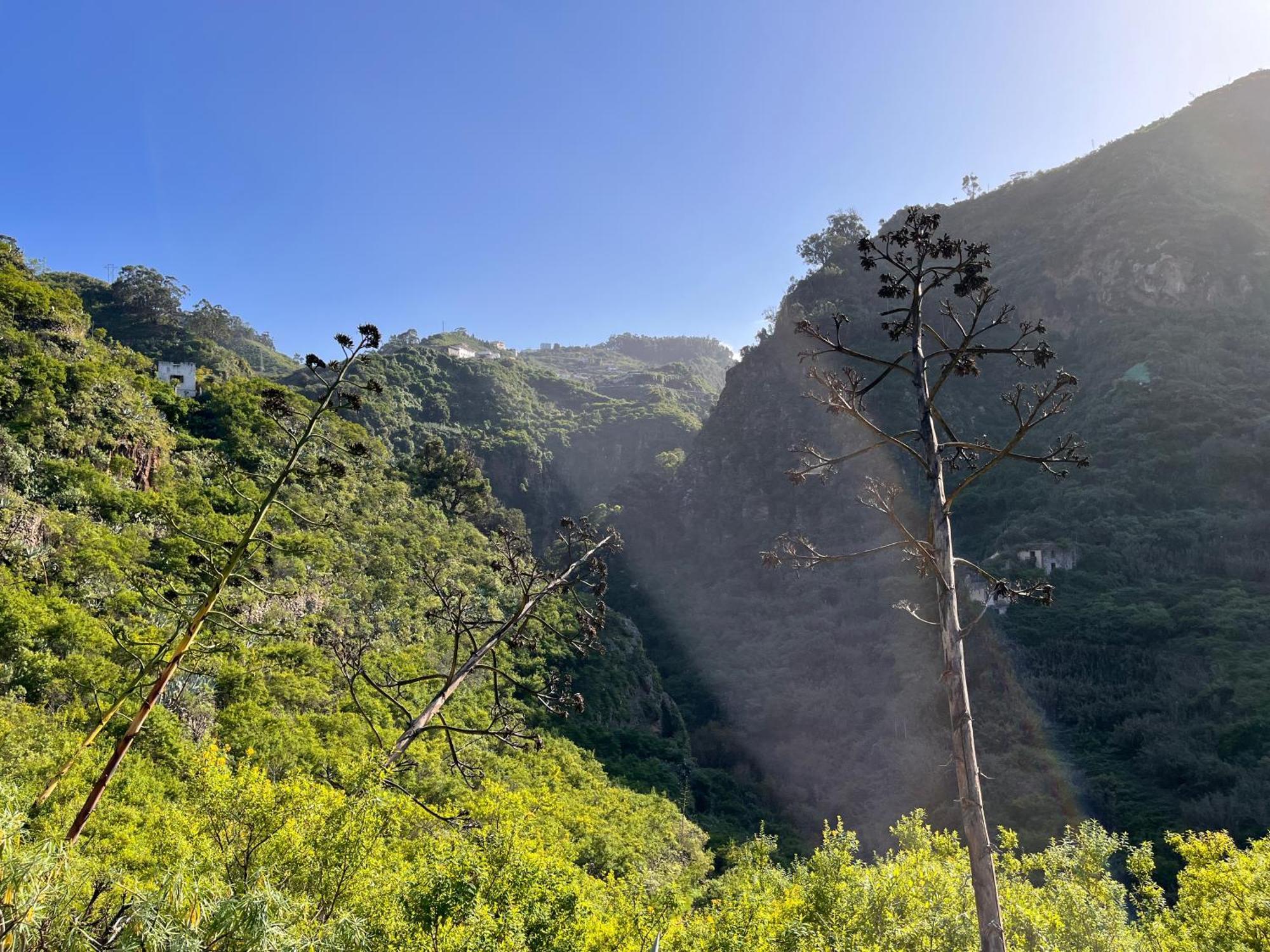 Casa Rural Los Tilos Betancor Moya (Gran Canaria)