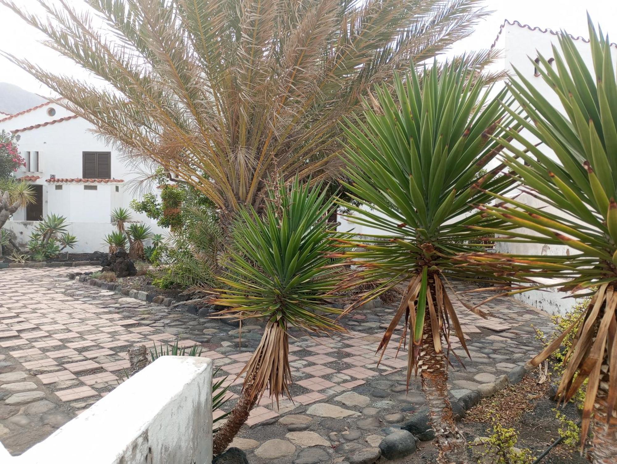 Bungalow And Pool El Molino De Agaete, Las Palmas Gran Canaria Holiday home *