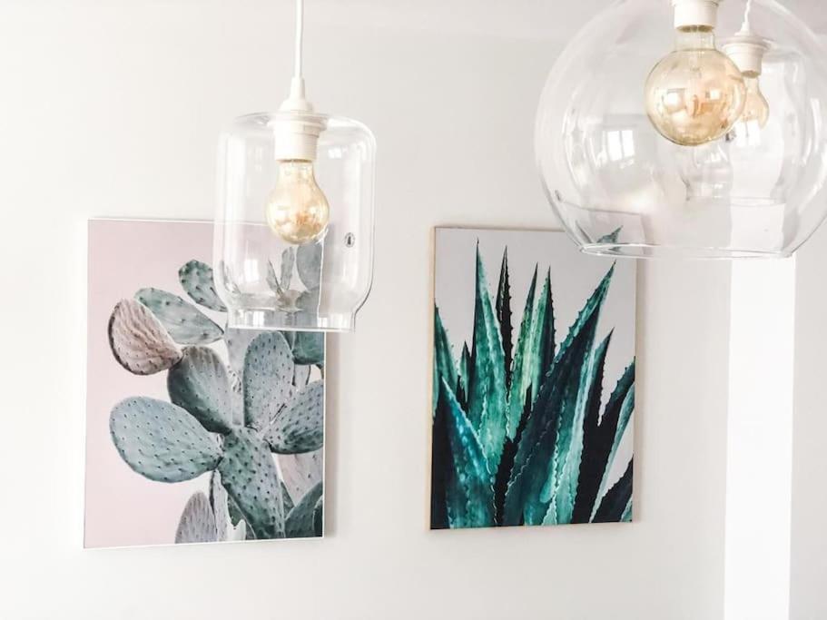 Apartamento Cactus