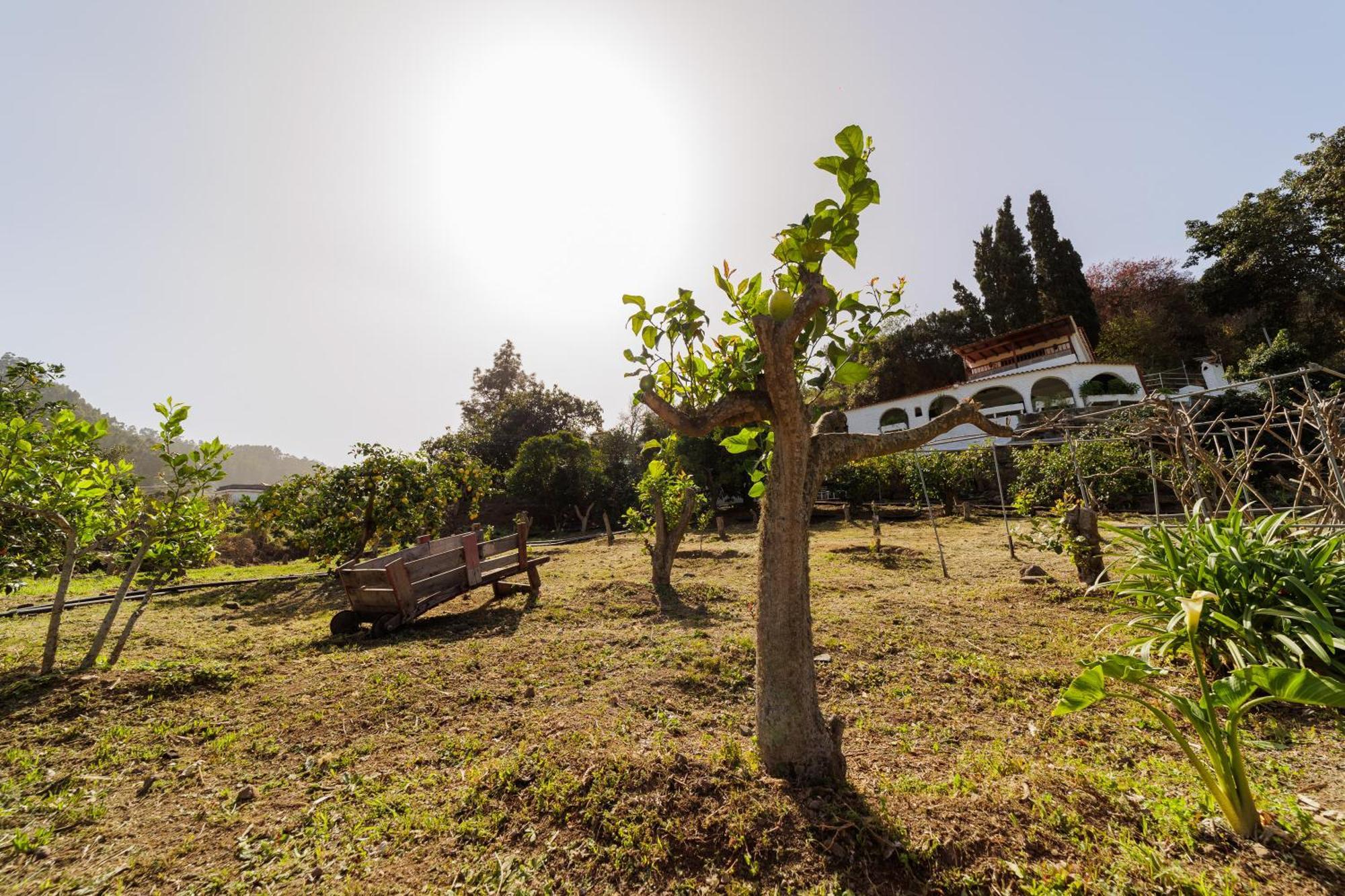 Appartamento Arcos Del Laurel Moya (Gran Canaria)