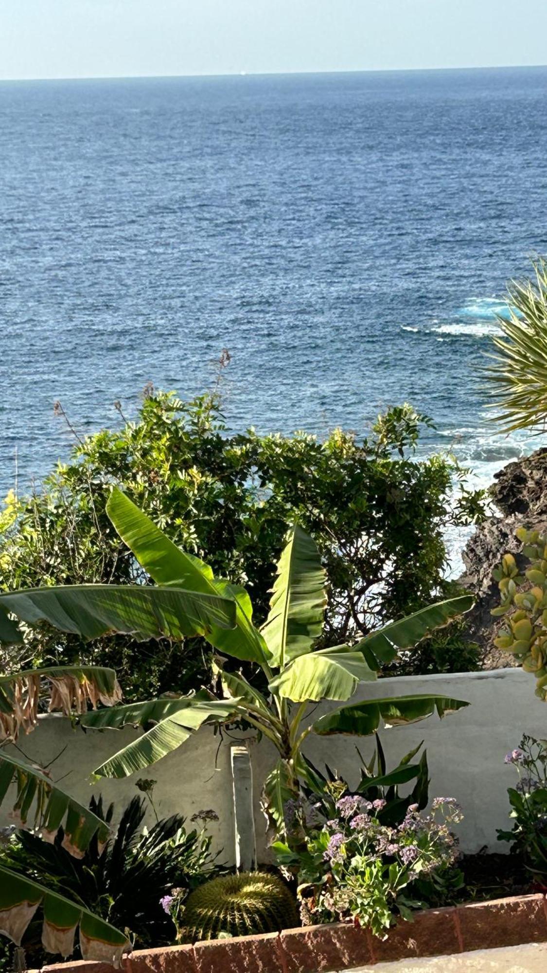 Paraiso Del Norte * Gáldar