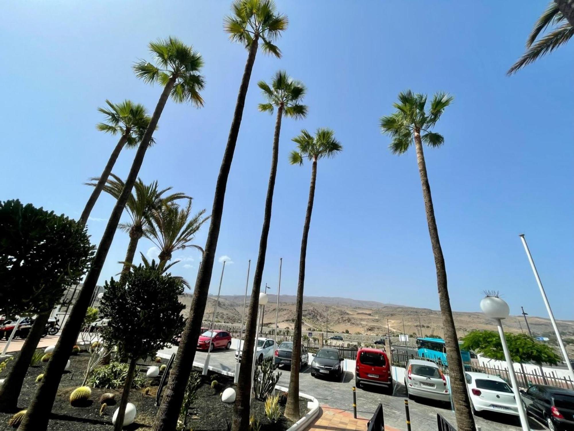 Sea Breeze * Playa del Ingles (Gran Canaria)