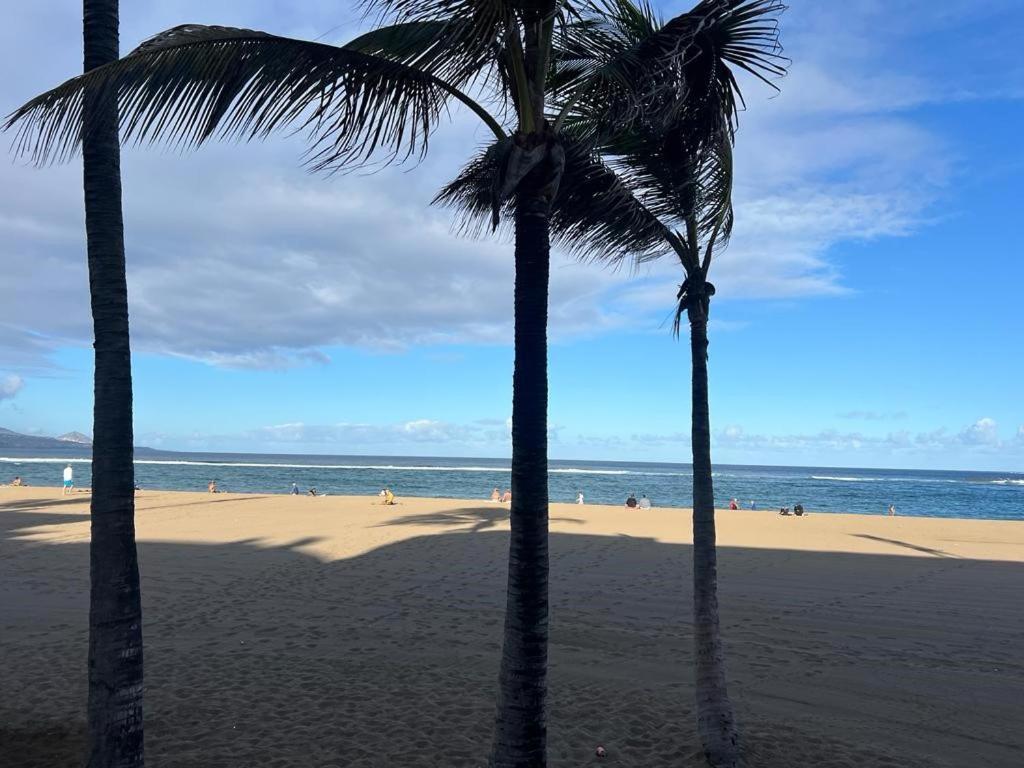 Apartamento Pedro Del Castillo Westerling 4 Las Palmas de Gran Canaria