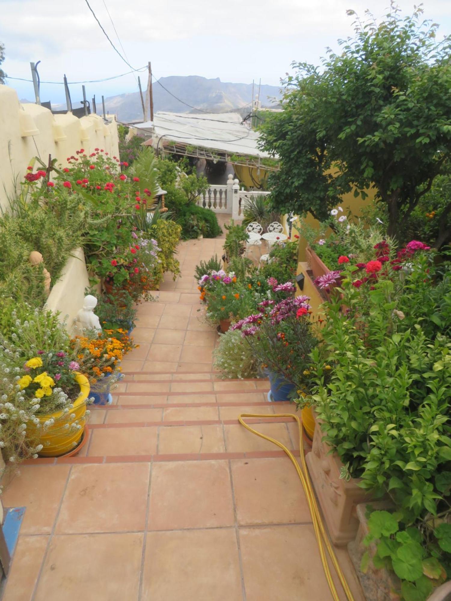 Cortez 4 * San Bartolome de Tirajana (Gran Canaria)