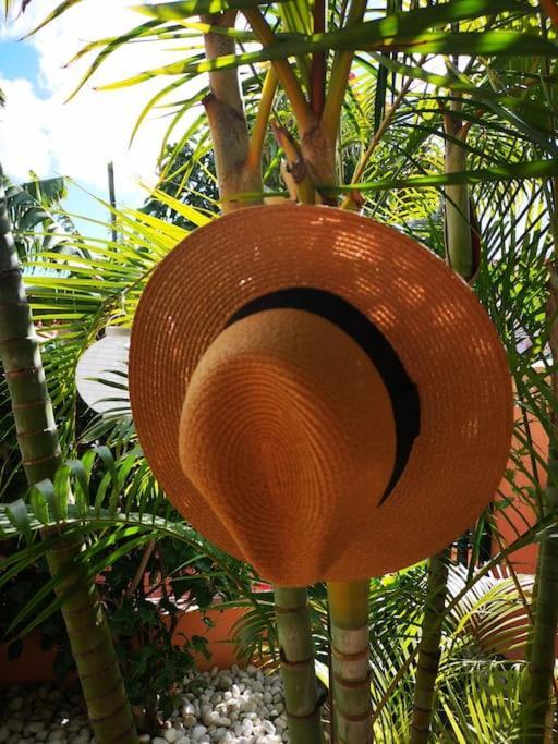 Сasa de vacaciones Wohlfuehloase In Maspalomas *