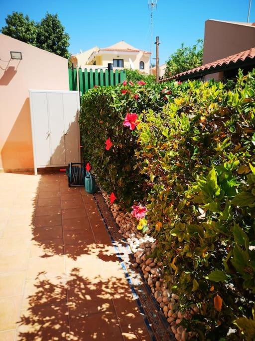 Сasa de vacaciones Wohlfuehloase In Maspalomas Maspalomas (Gran Canaria)
