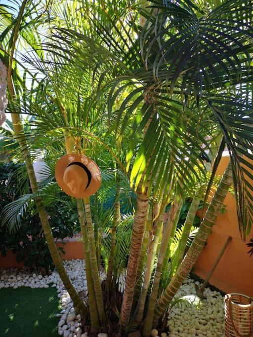 Wohlfuehloase In Maspalomas Сasa de vacaciones