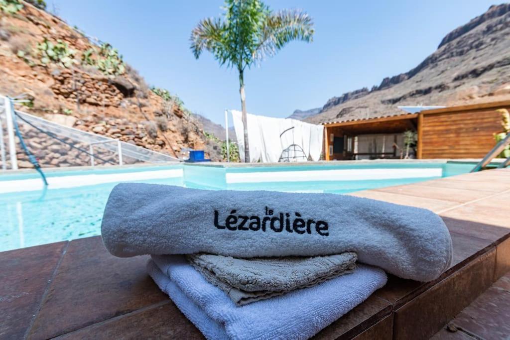 Apartamento Studio Bed-room In Quiet Montain - Swimming Pool, Jacuzzi, Wifi, Tv Outdoor Chill Out - La Lezardiere San Bartolomé