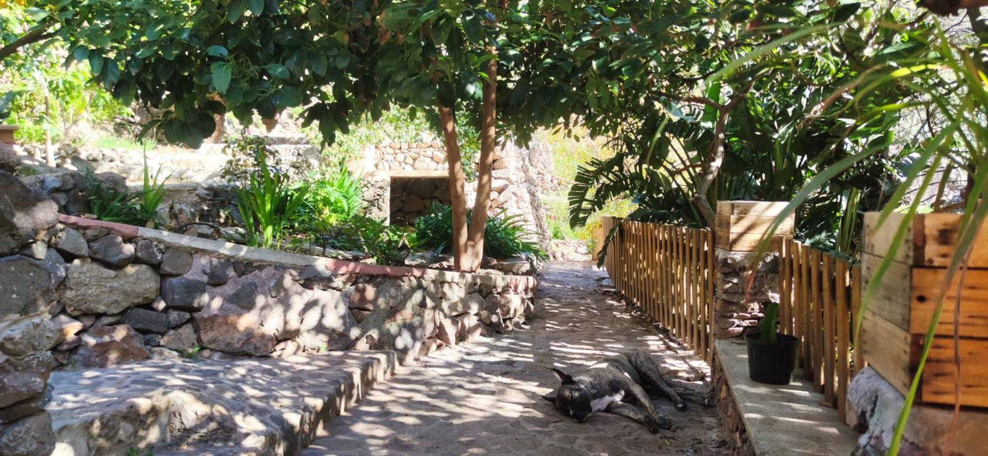 Casas Cuevas, Cabucos