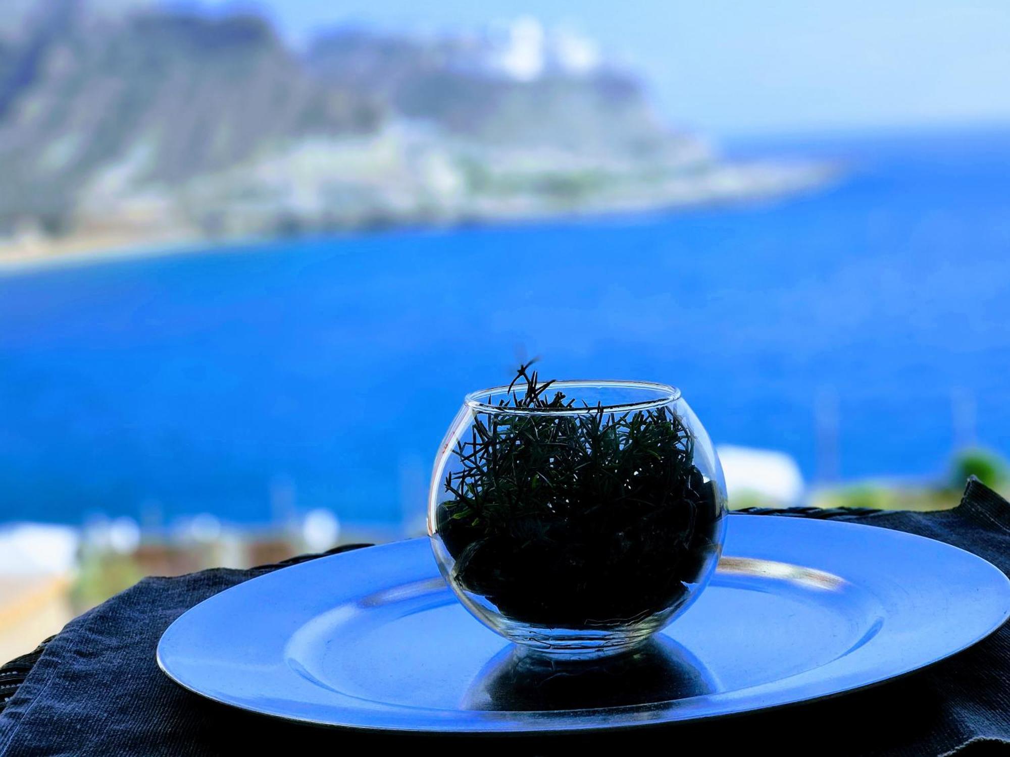Ocean View * Mogán
