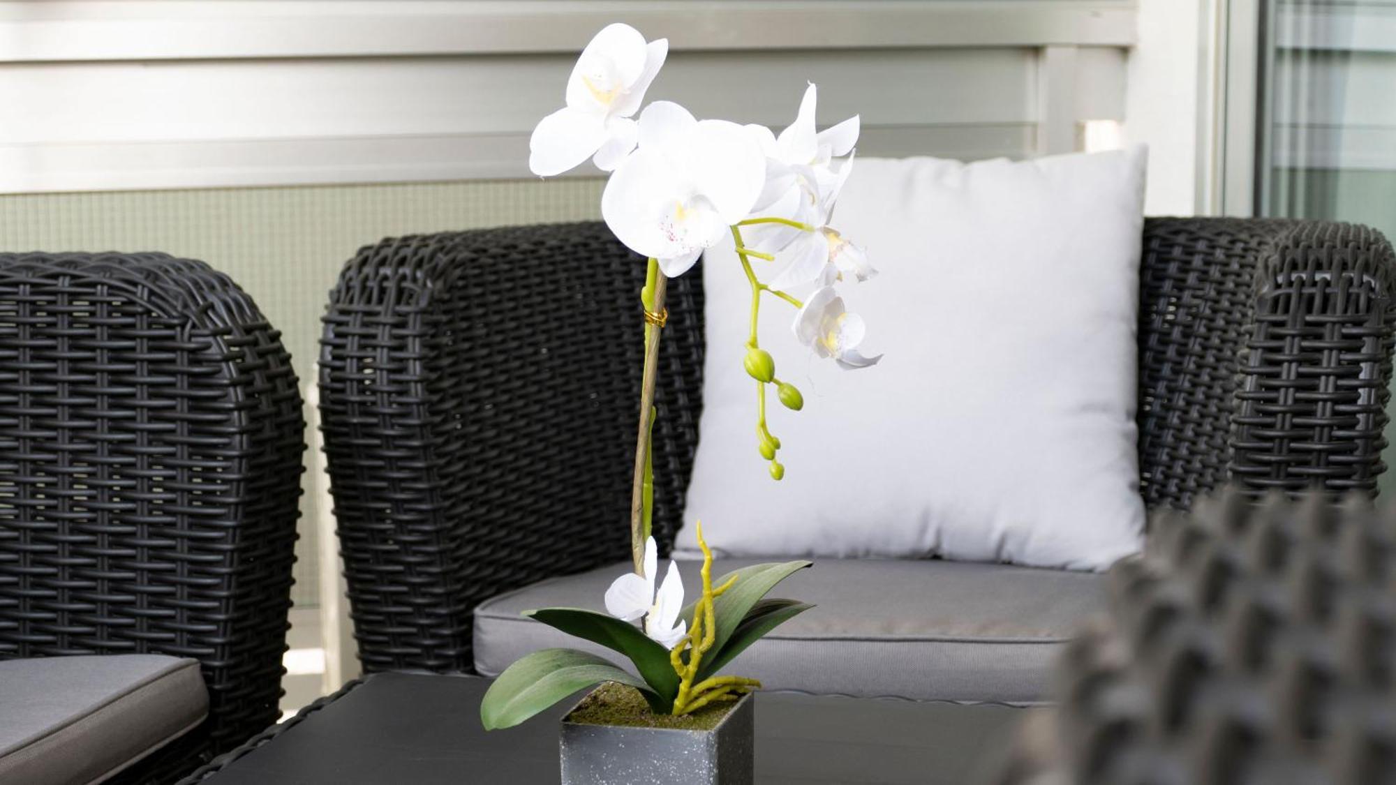 The White Corner By Homestaygrancanaria Apartamento *