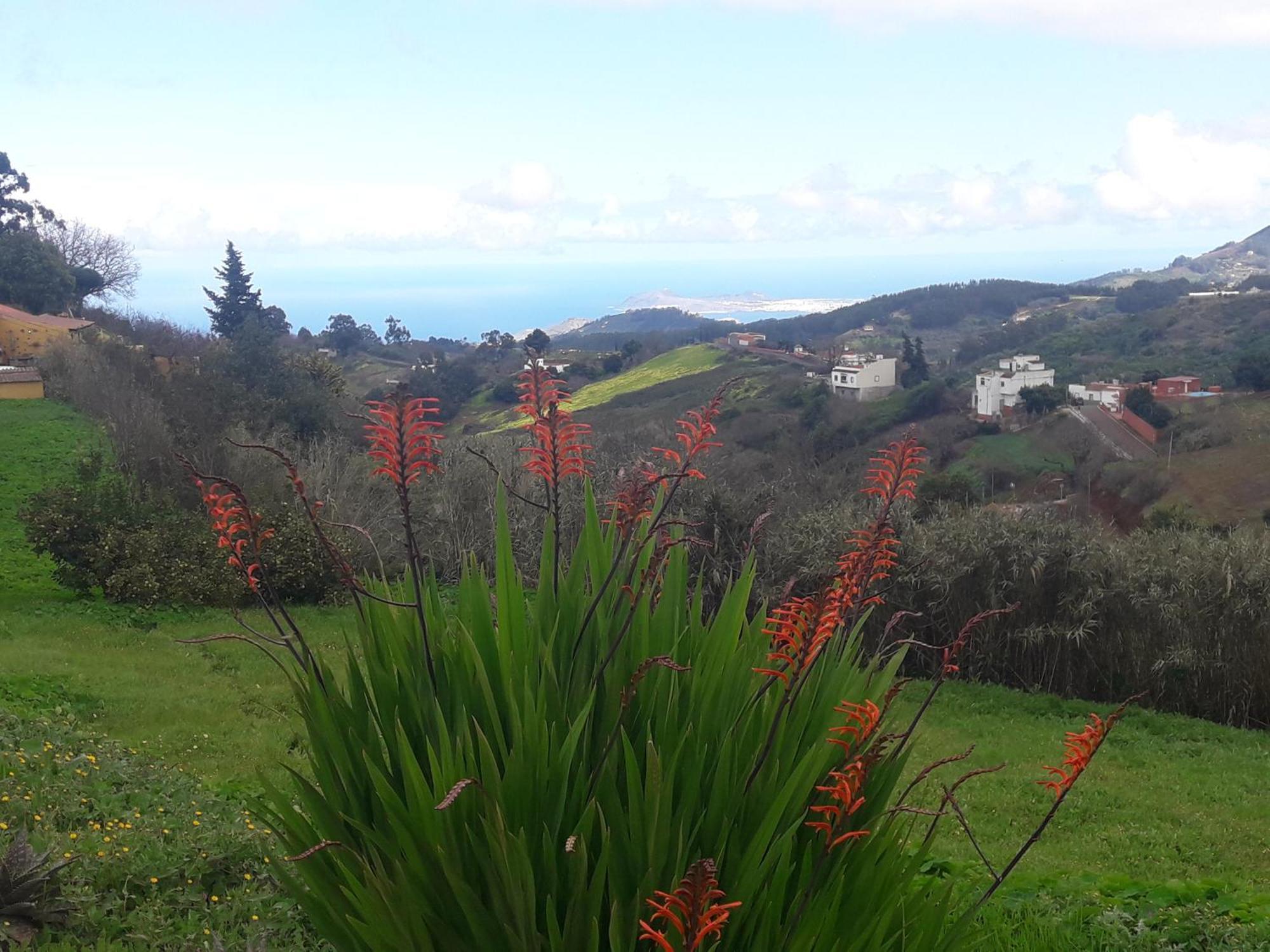Holiday home Naturacanaria Moya (Gran Canaria)