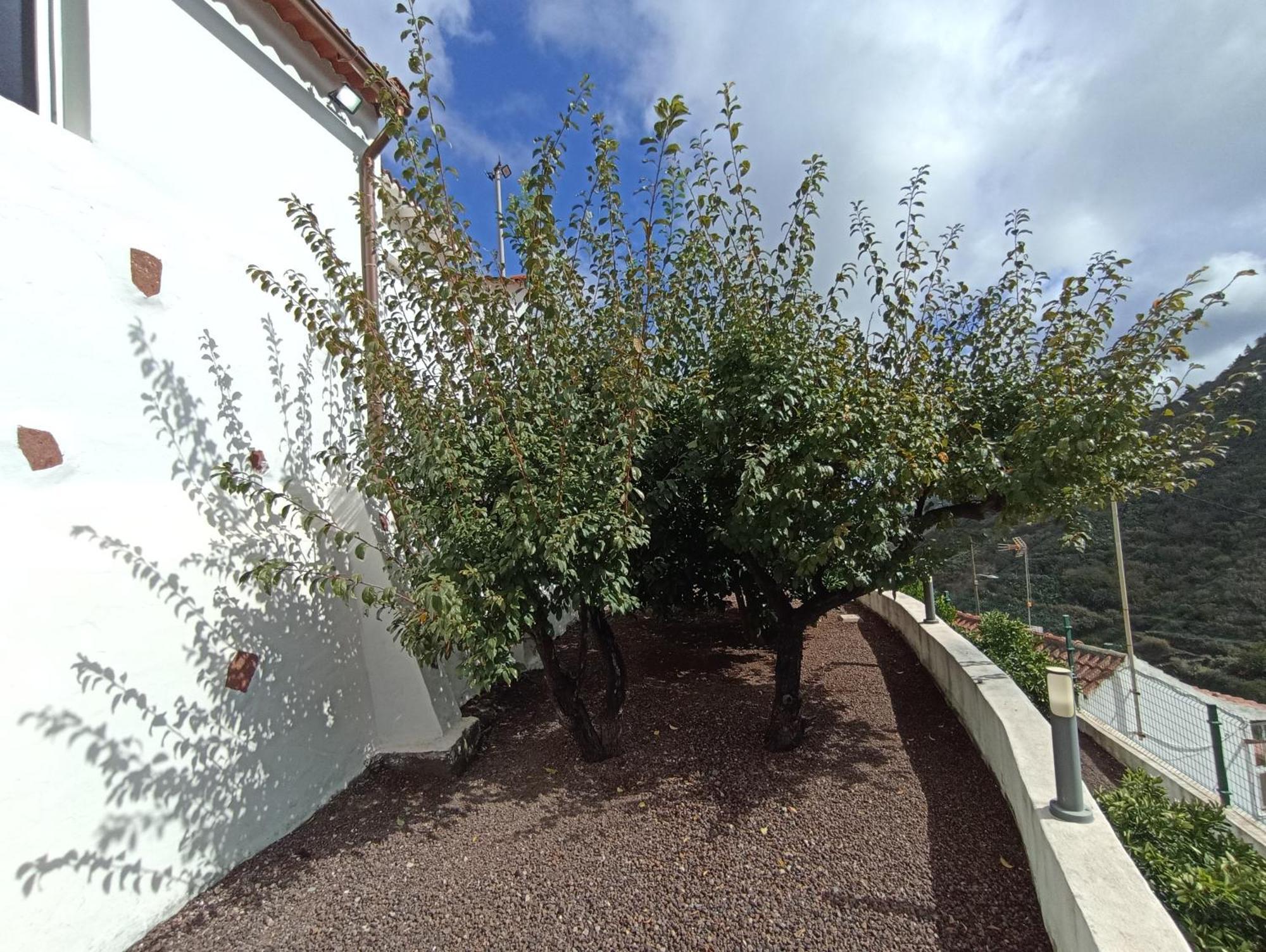 Holiday home La Yedra San Mateo *