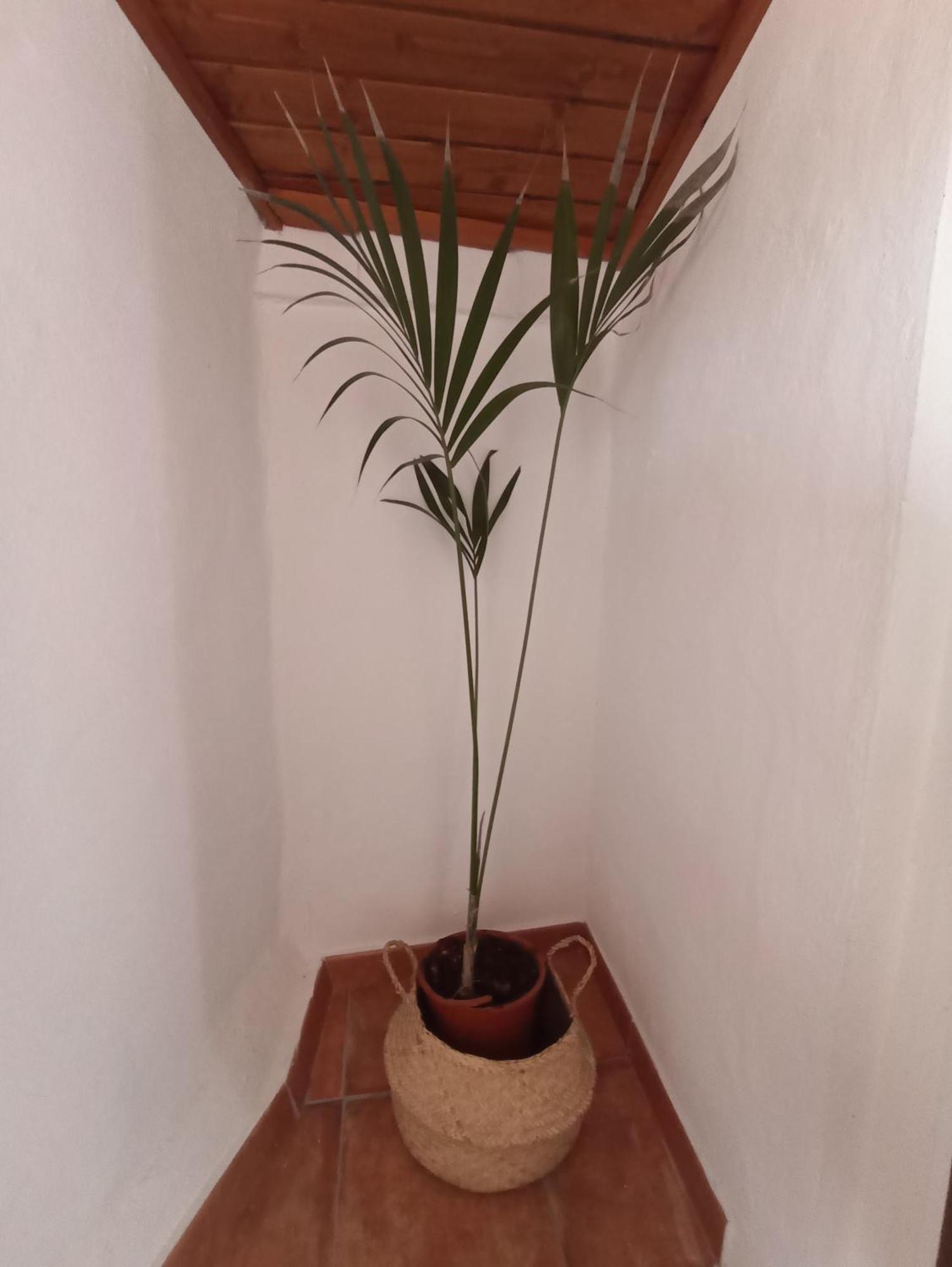 Holiday home La Yedra San Mateo Arbejales