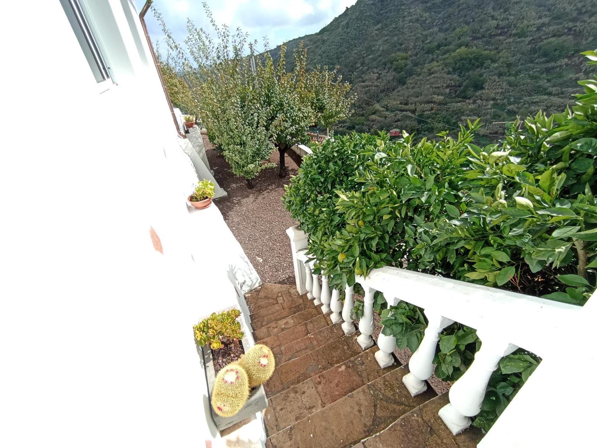 La Yedra San Mateo Holiday home *