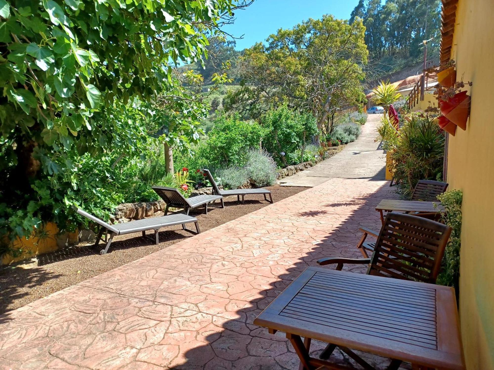 Holiday home Naturacanaria Moya (Gran Canaria)