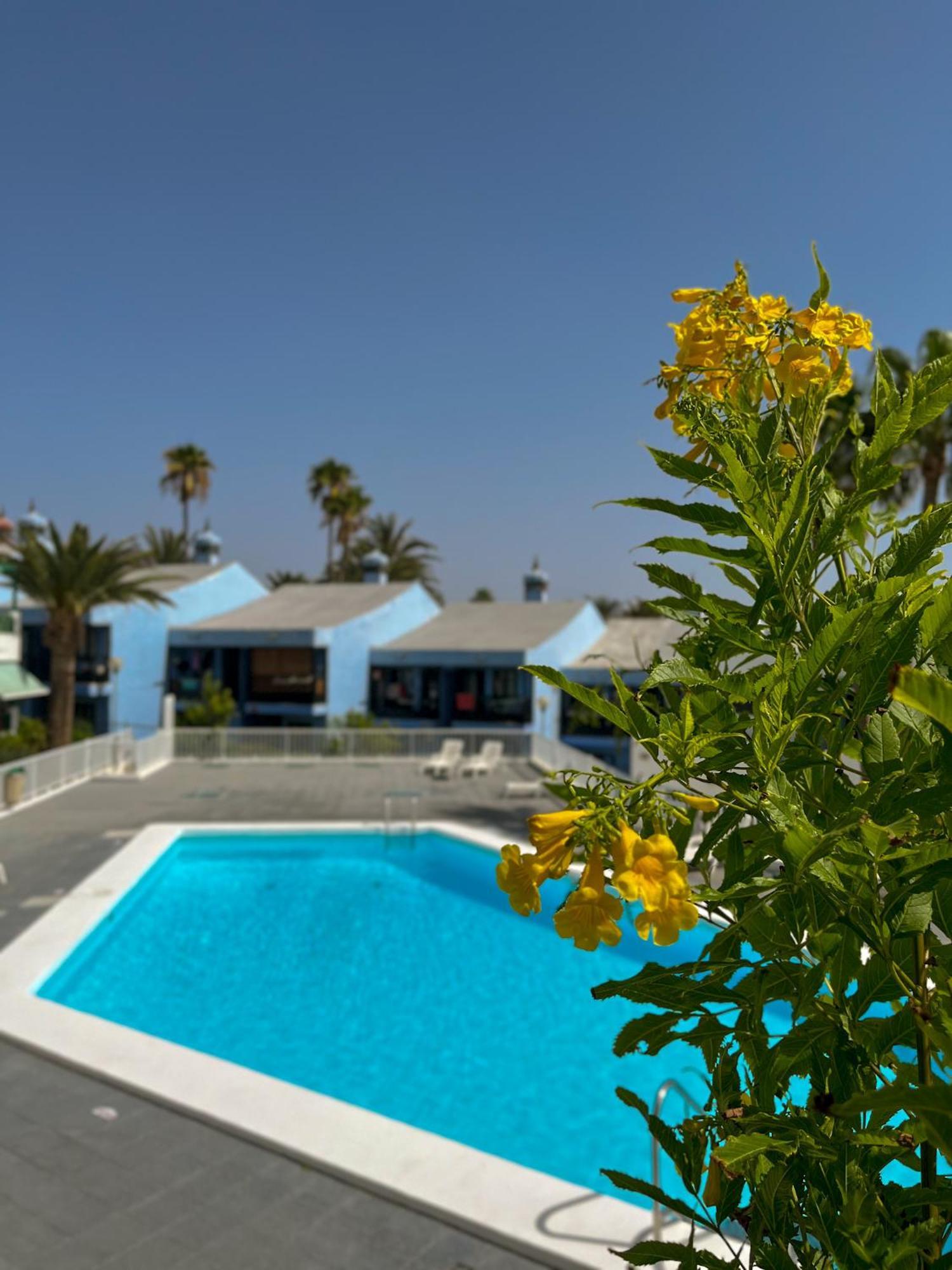 Beautiful Aguycan 120 Playa Del Aguila Maspalomas Gran Canaria Appartamento