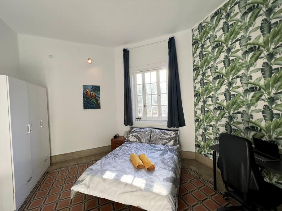 Colonial In Palmas Villa *