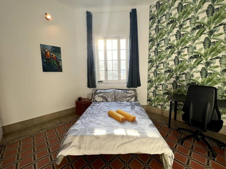 Colonial In Palmas
