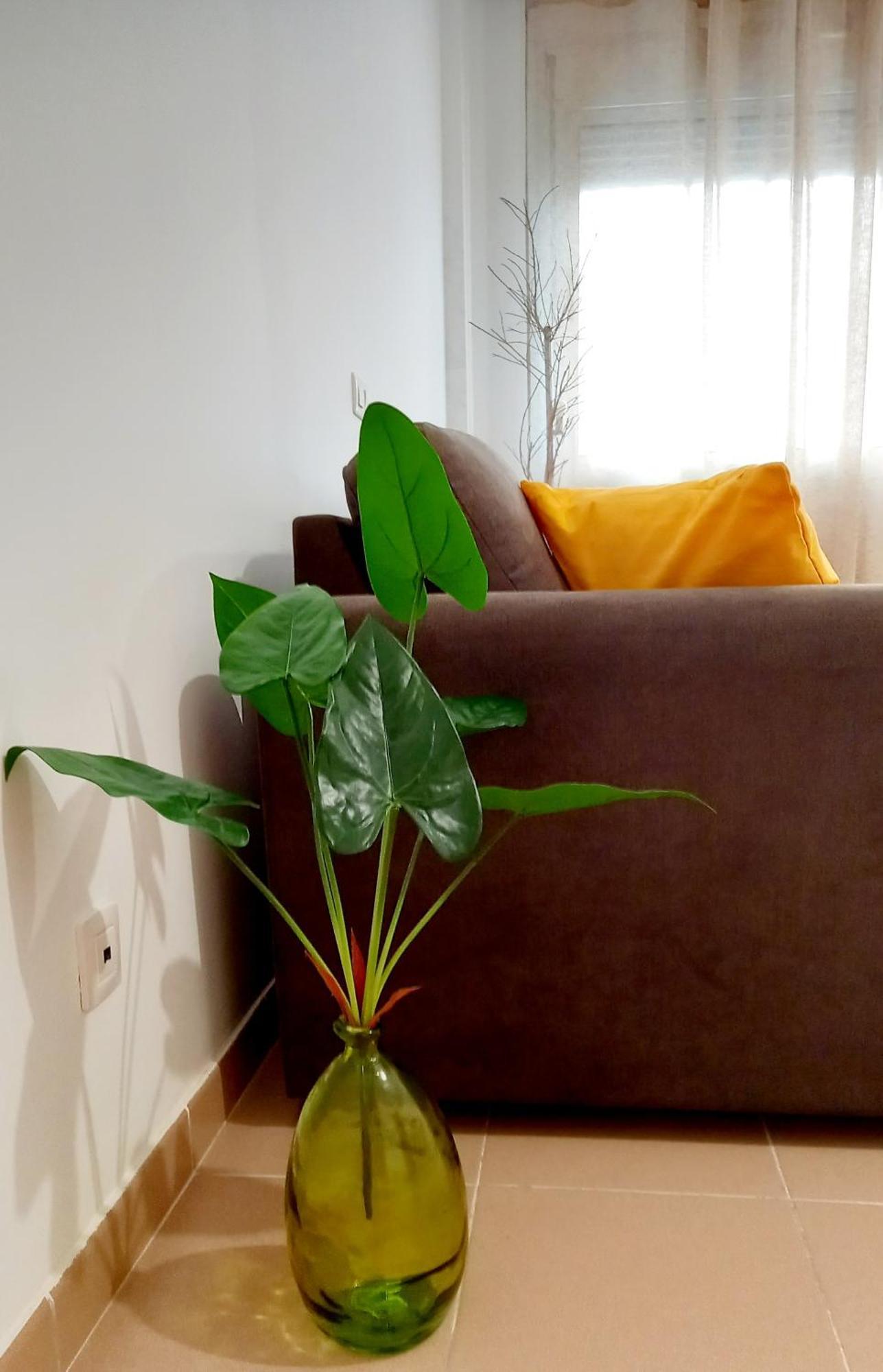 Apartamento Greenhouse