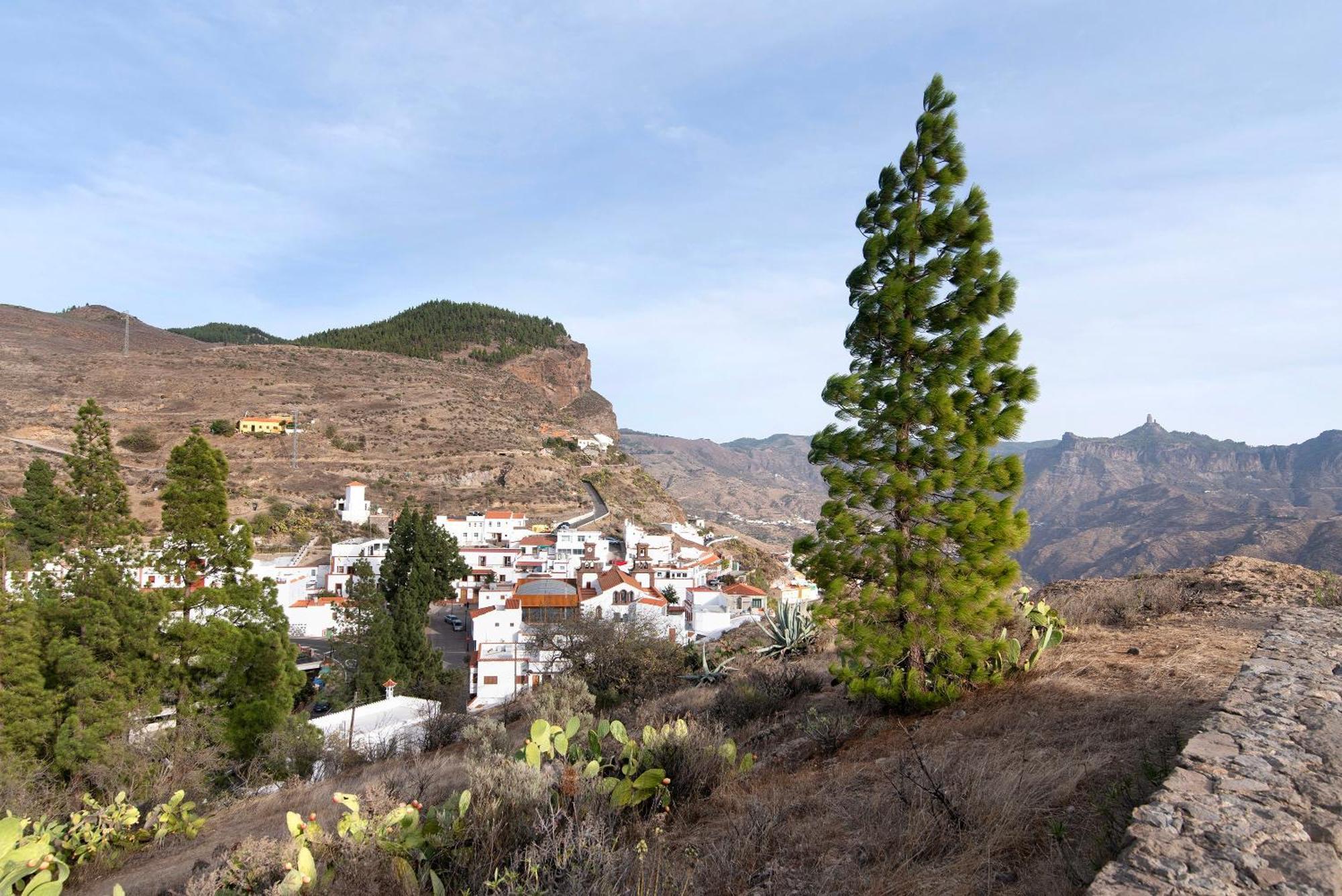 La Cuevita De Hilario Artenara